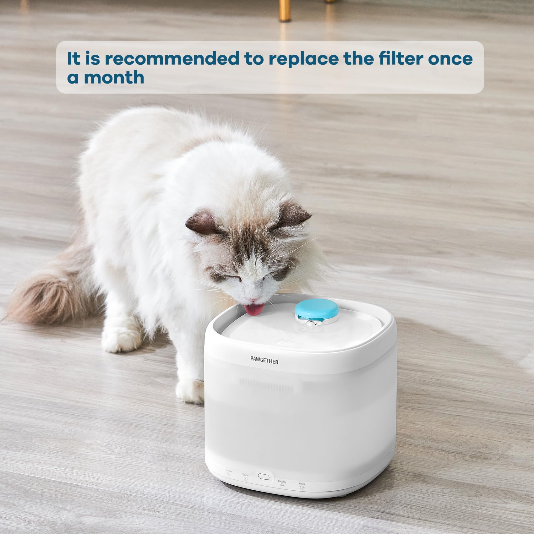 PAWGETHER cat fountain filter shows 5x3 inch size for PAWGETHER fountains.