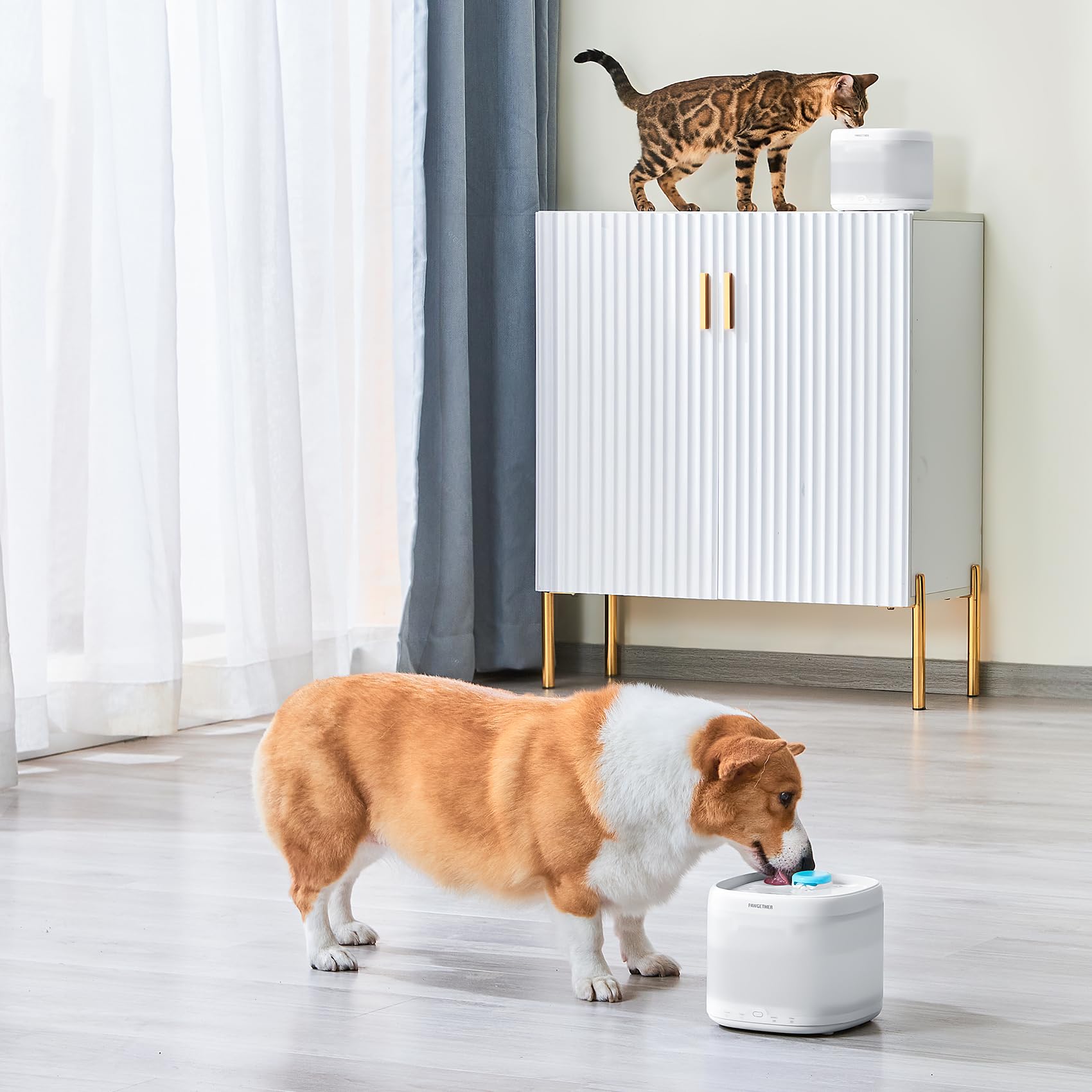 PAWGETHER packaging shows included three filters for convenience.
