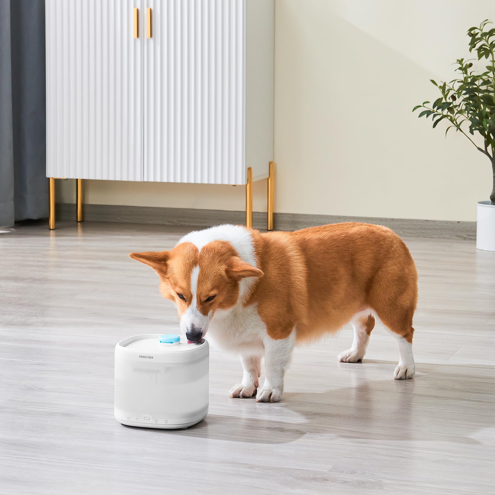PAWGETHER triple-filtration materials emphasize filtration benefits for pet water.