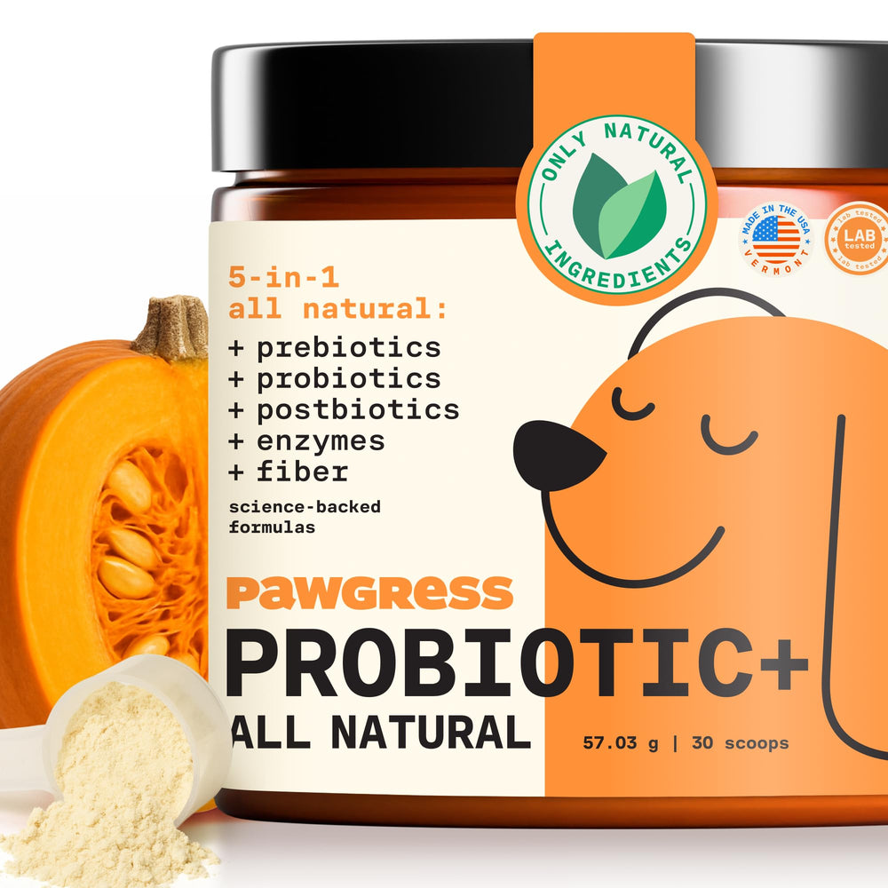 PAWGRESS 5-in-1 probiotic powder bottle showing all-in-one gut support