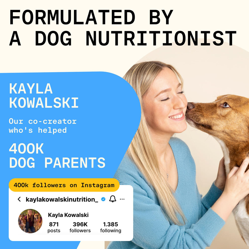 PAWGRESS astragalus dog health supplement signals holistic immune support and longevity potential.