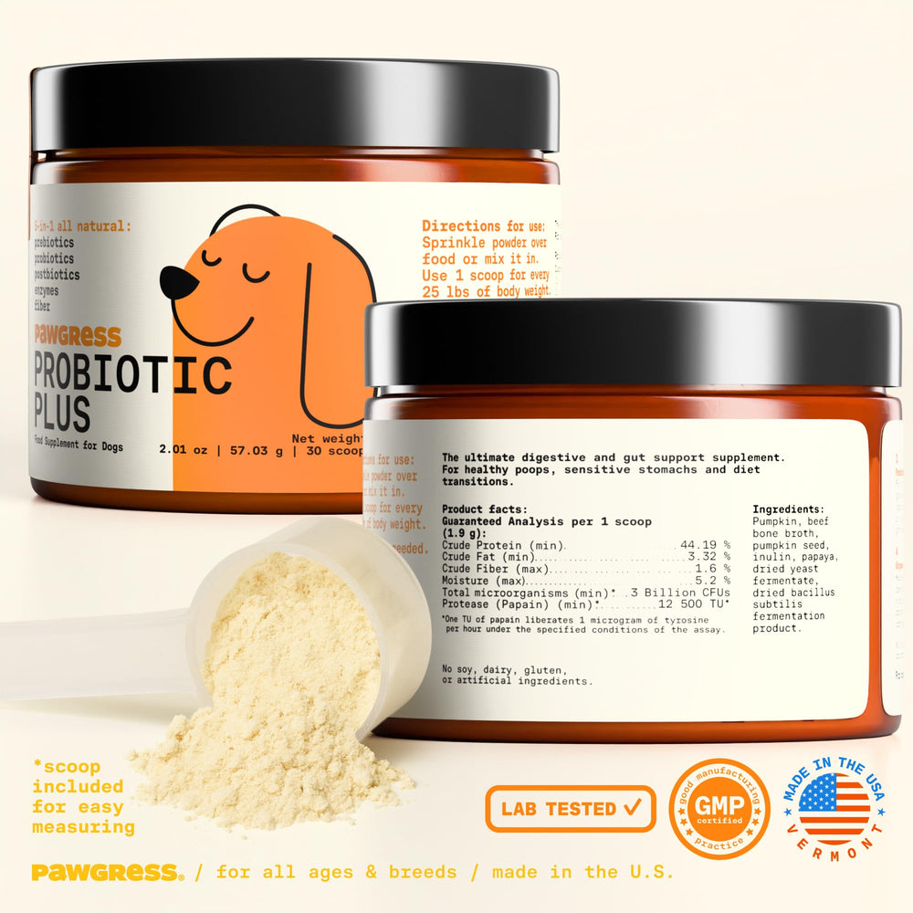 PAWGRESS digestive health for dogs prompts happier meals and steadier poops
