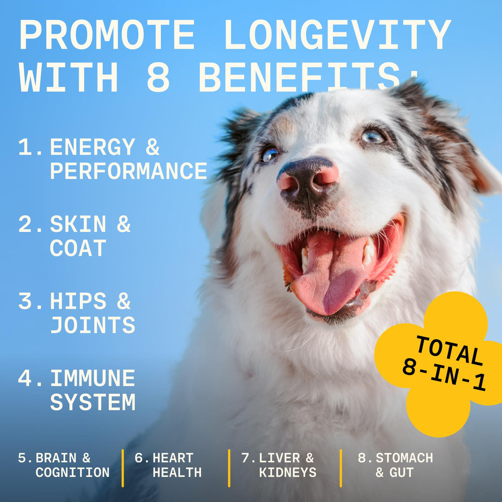 PAWGRESS functional mushrooms blend suggests brain, joints, and overall wellness support.