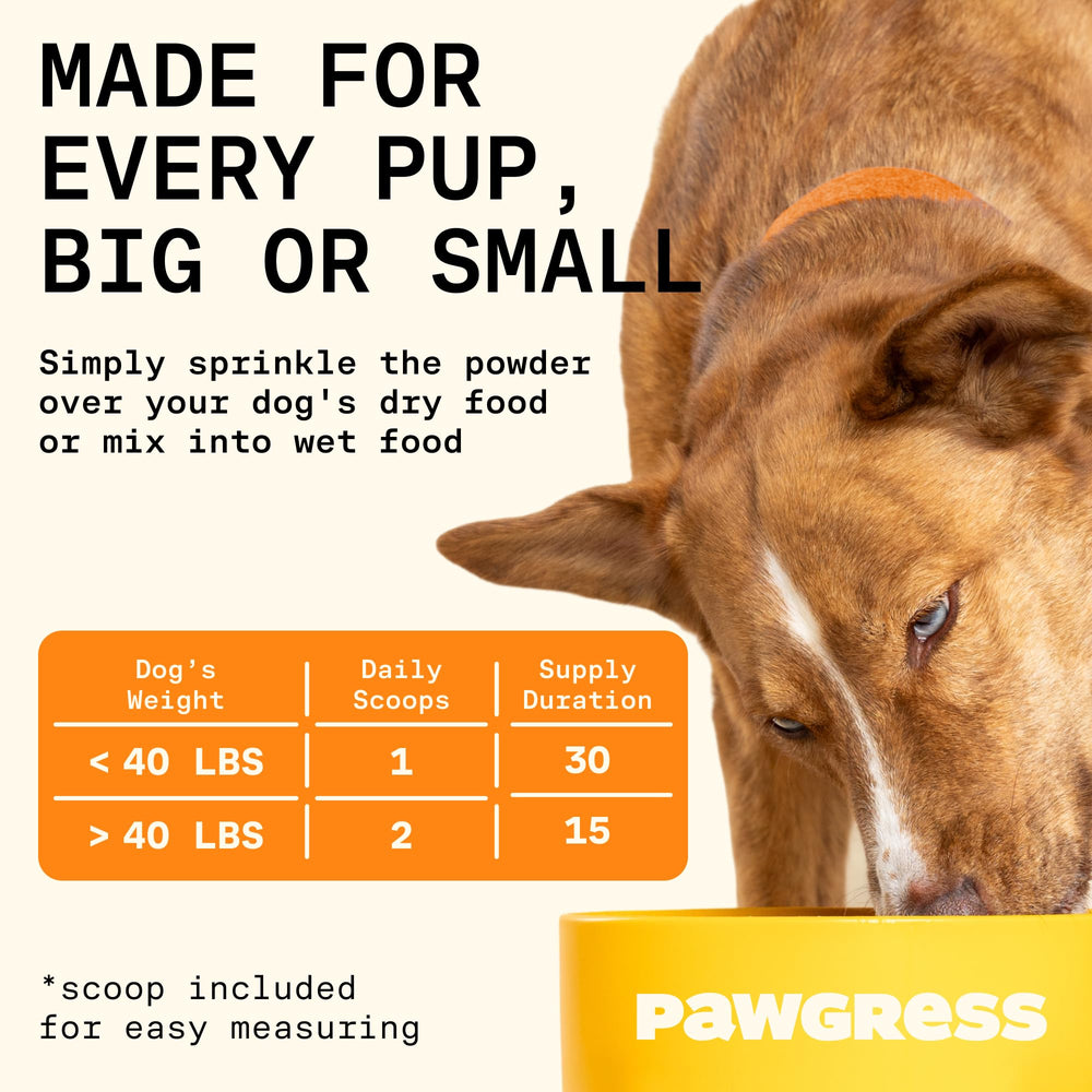 PAWGRESS Kayla Kowalski nutritionist portrait signals expert guidance