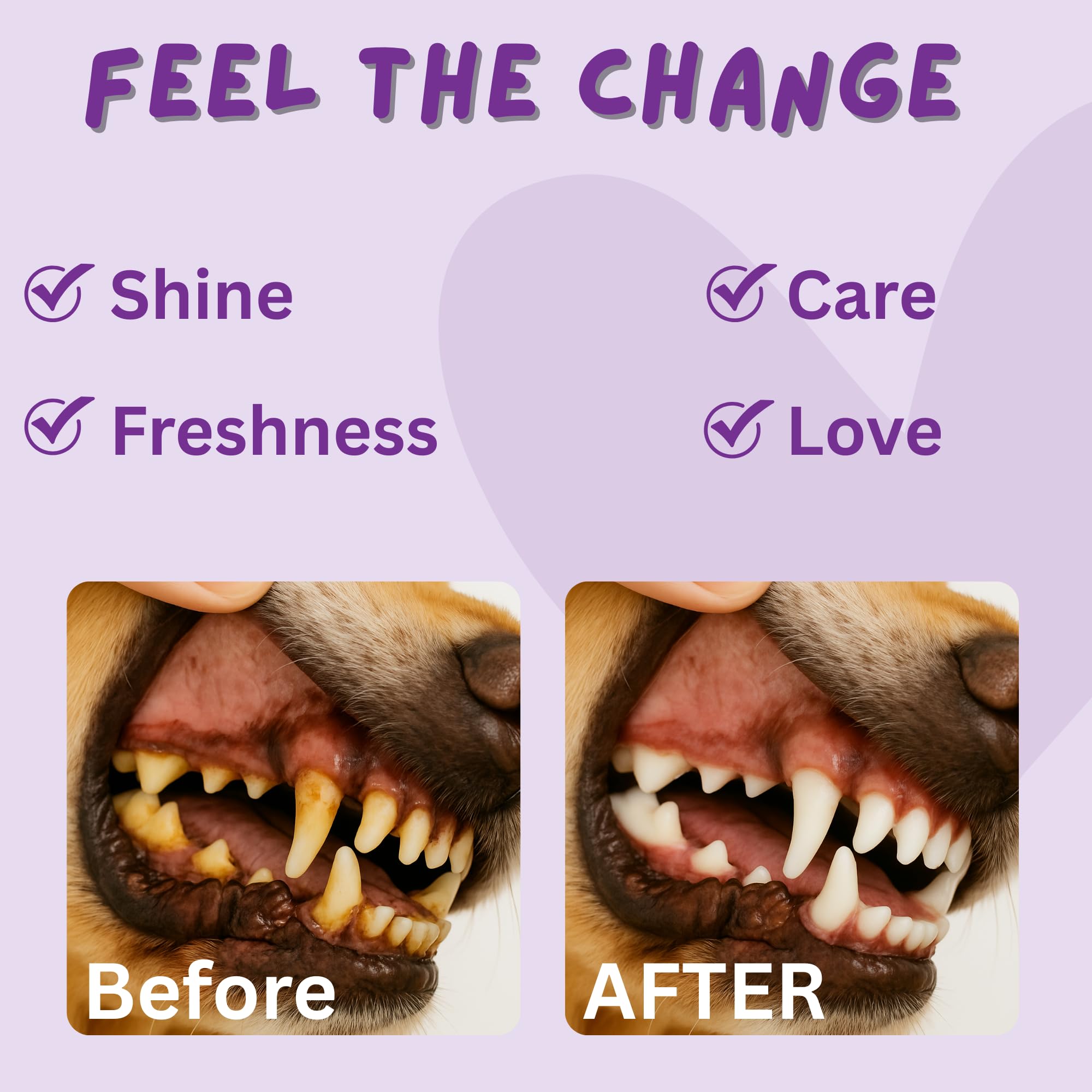 Pawhuggy travel-friendly wipes for mess-free on-the-go pet dental care.