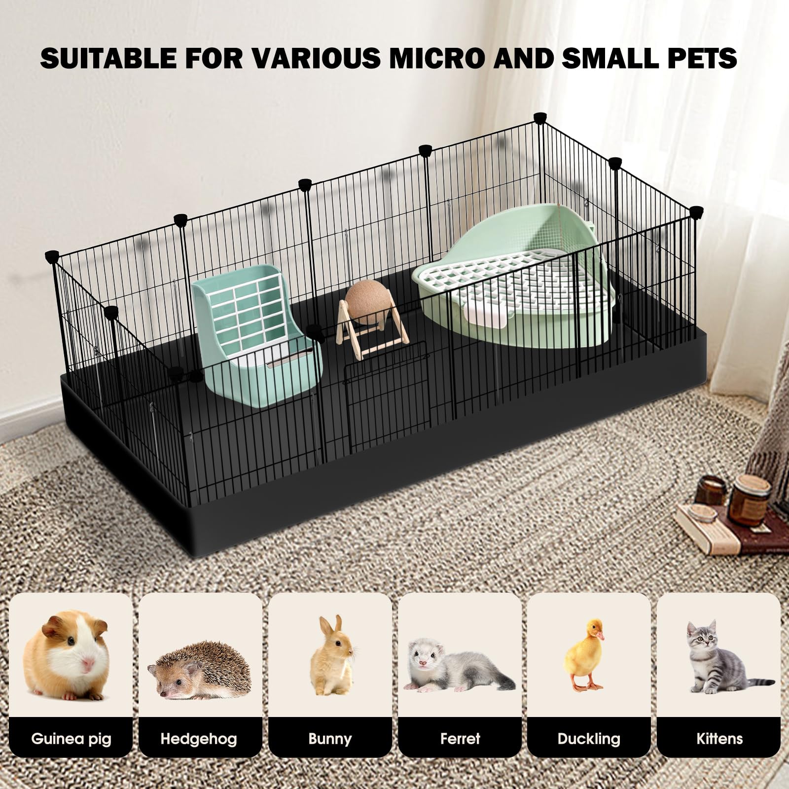 PAWING open design lets you supervise multiple pets from any angle.