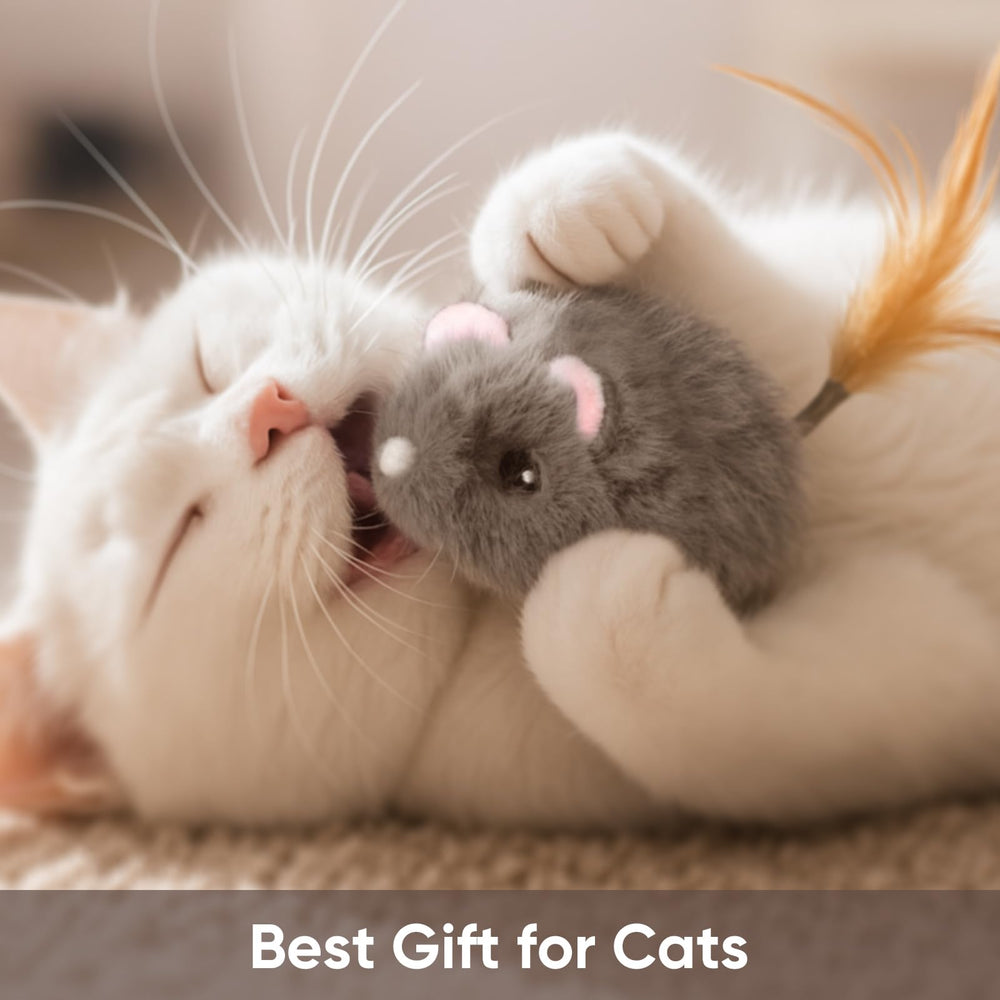 Pawingcat cat mouse toy kittens-ready design for safe bonding.
