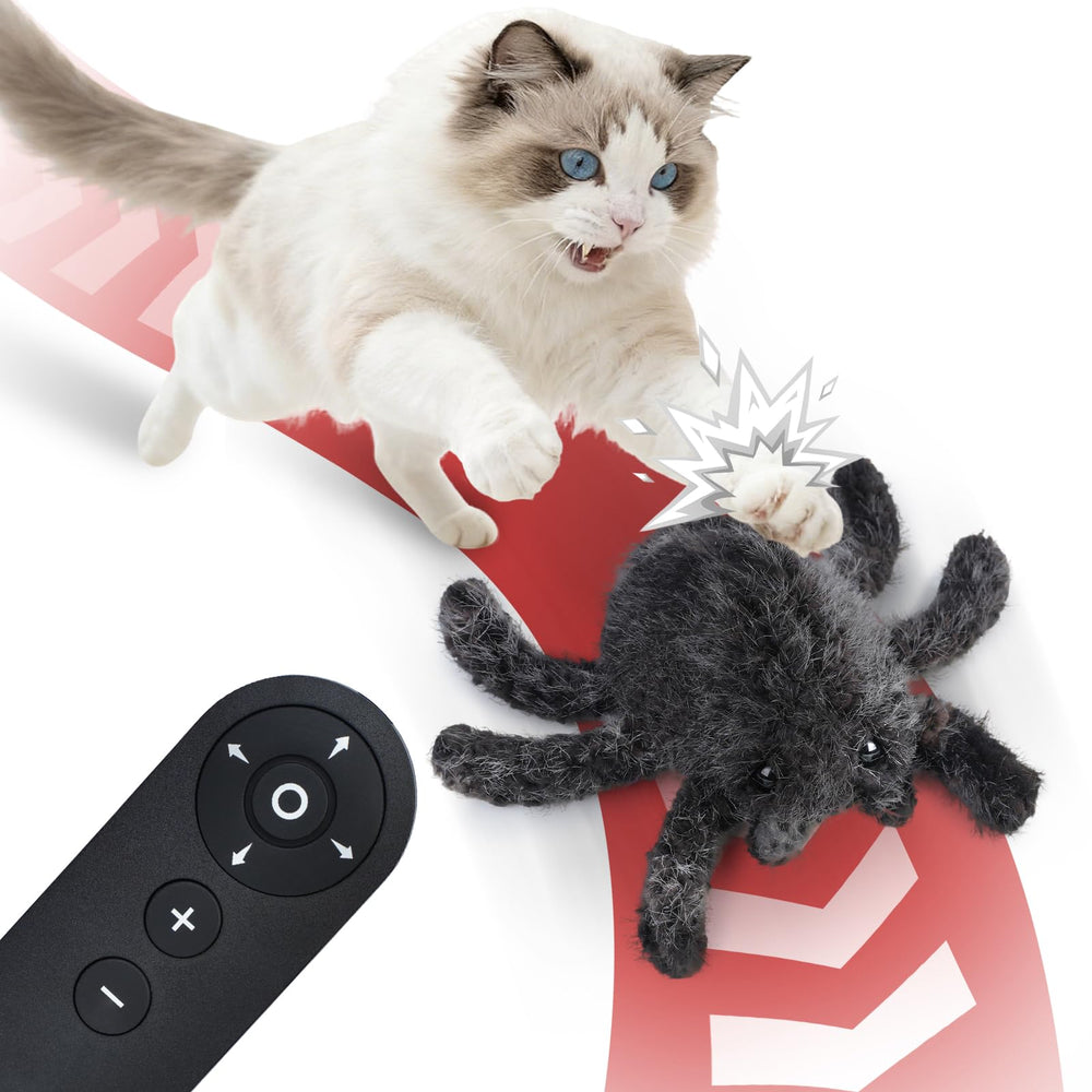 Pawingcat horror spider toy front view for interactive indoor play
