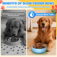 Pawwinner freeze lick mat for dogs, shown with frozen treats and stimulating textures.