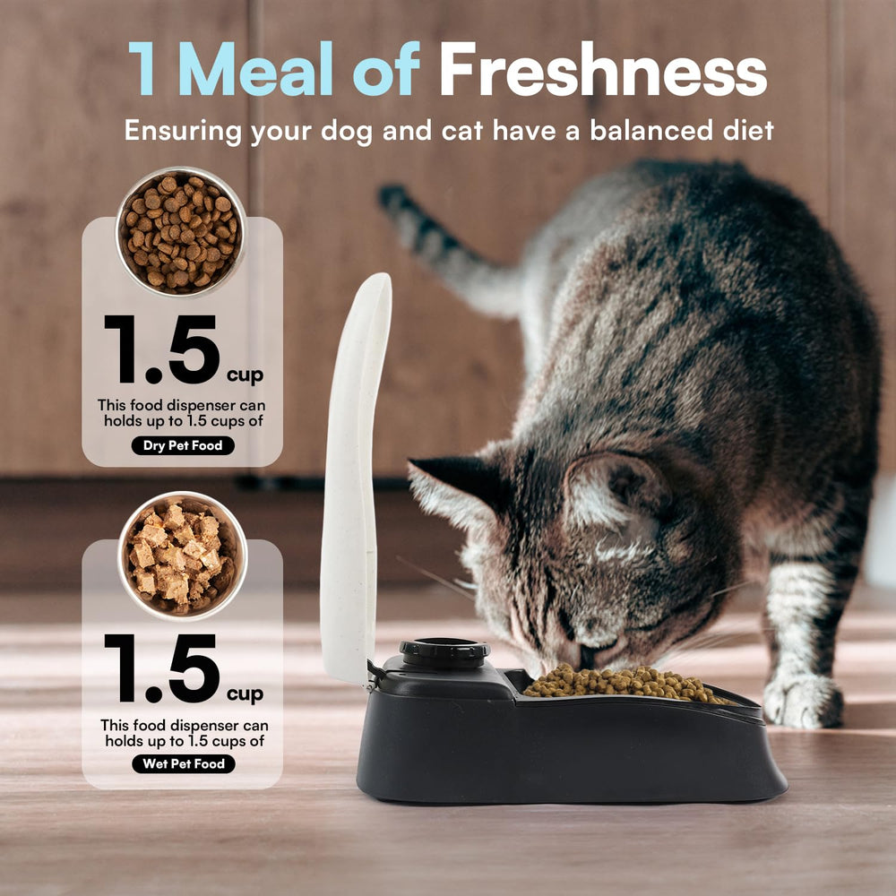 PAWISE Automatic Pet Feeder supports wet and dry food for flexible meals.