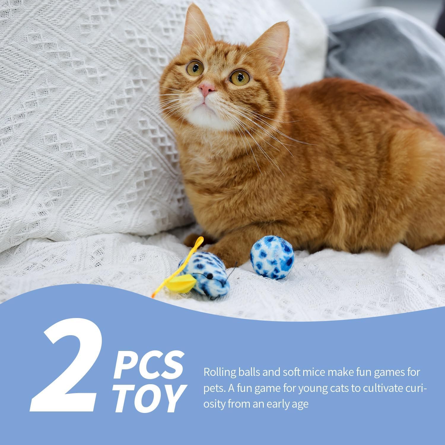 PAWISE cat ball toy provides interactive fun for kittens.