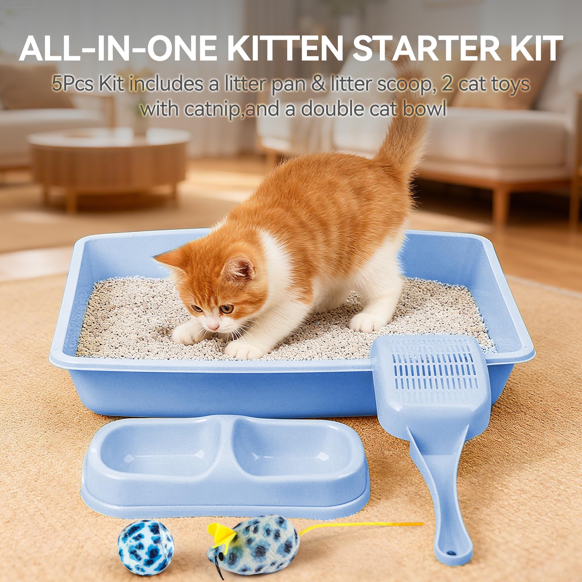 PAWISE double bowls keep water and food organized for small kittens.