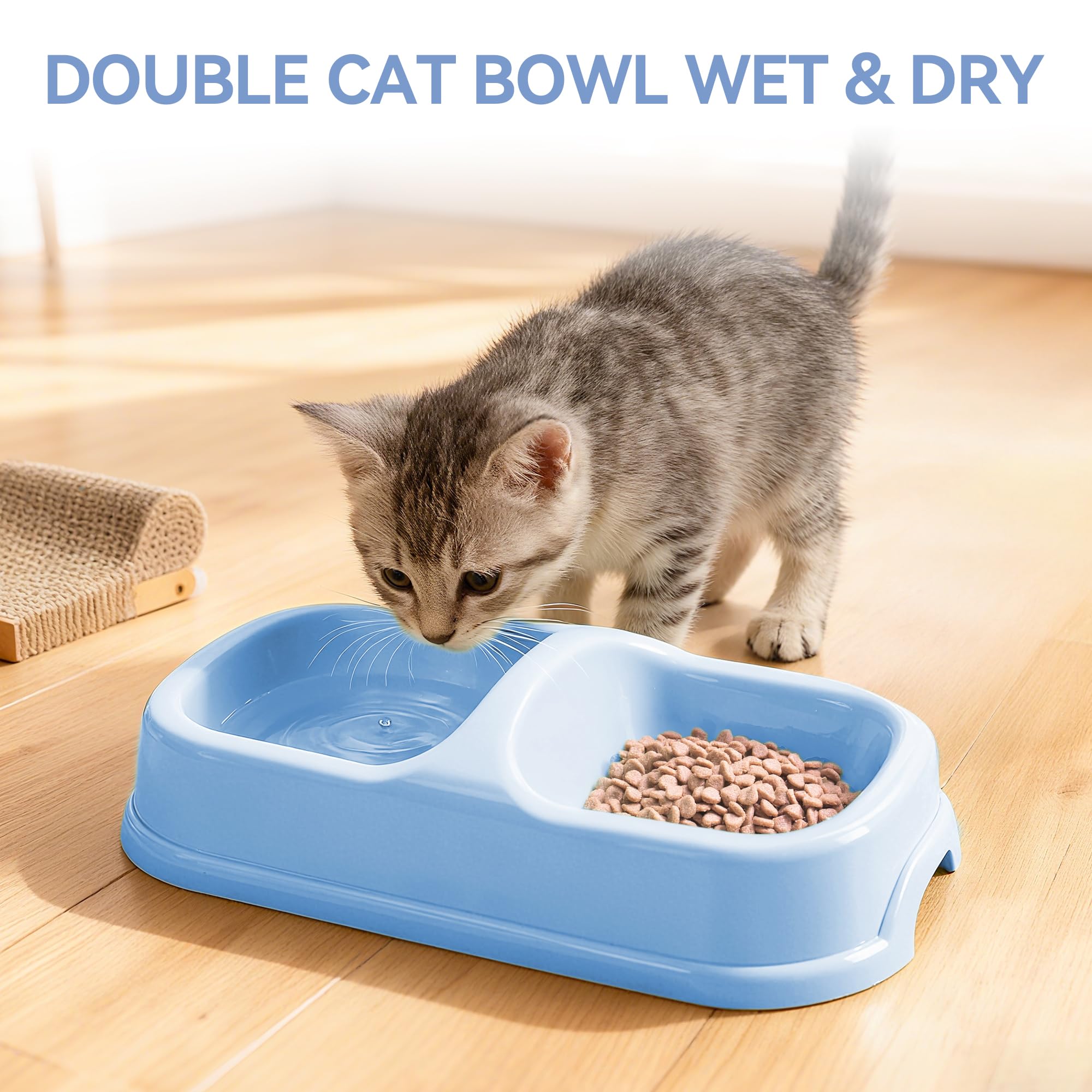 PAWISE top-entry litter box offers a low entry for tiny kittens.