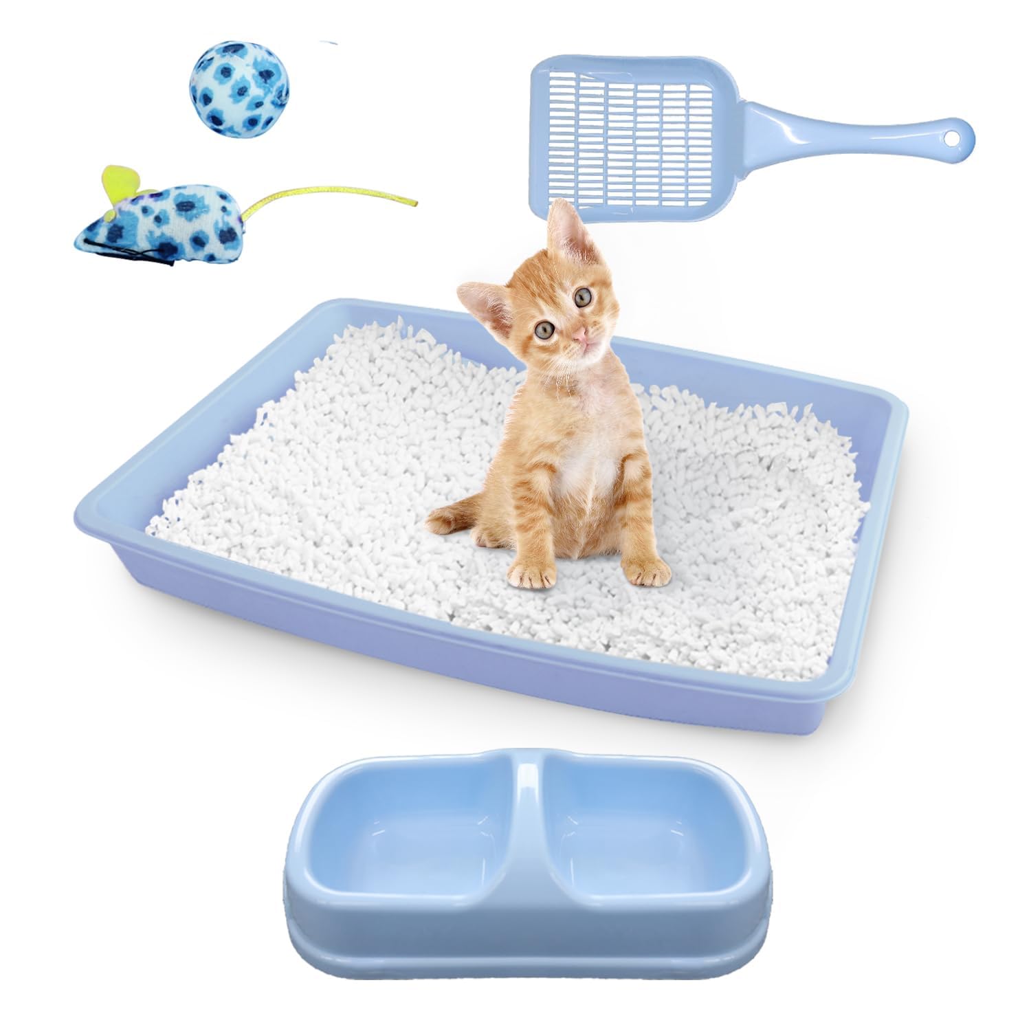 PAWISE cat litter box set with low-entry design for easy kitten access.