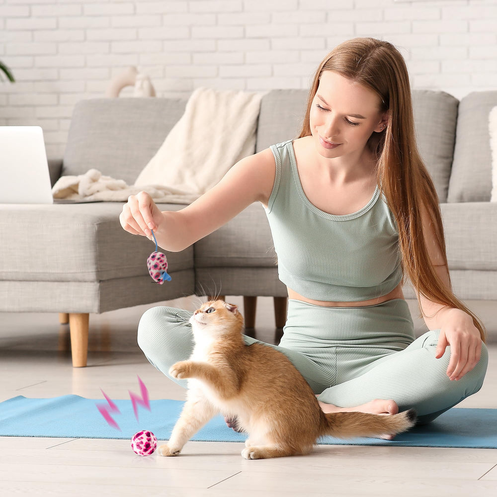 PAWISE pink cat mouse toy for hunting playtime