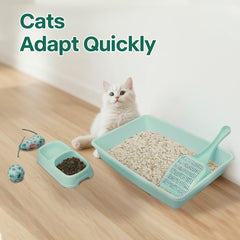 PAWISE cat litter scoop enables quick, hygienic cleanup after activities.