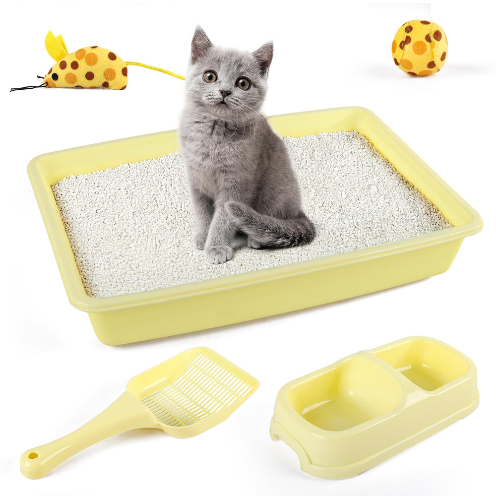 PAWISE cat starter kit litter pan with low-entry design for small kittens