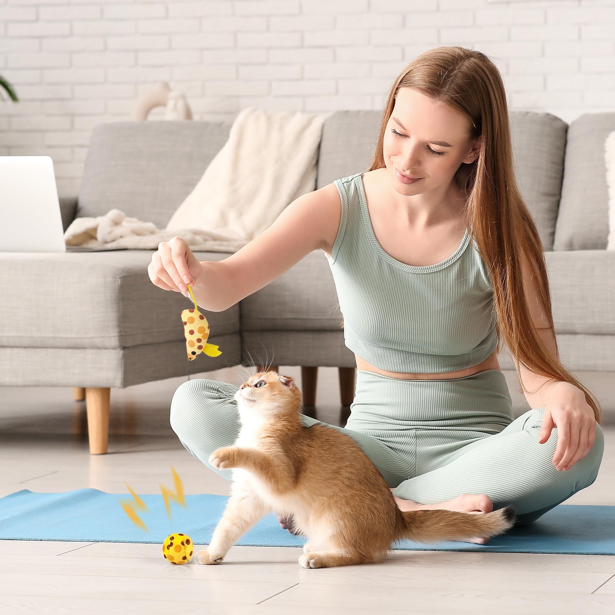 PAWISE cat starter kit scene with new cat parents at home