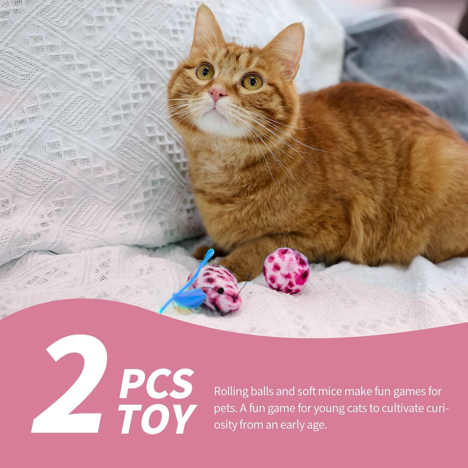 PAWISE compact-square litter box fits tight spaces without sacrificing access