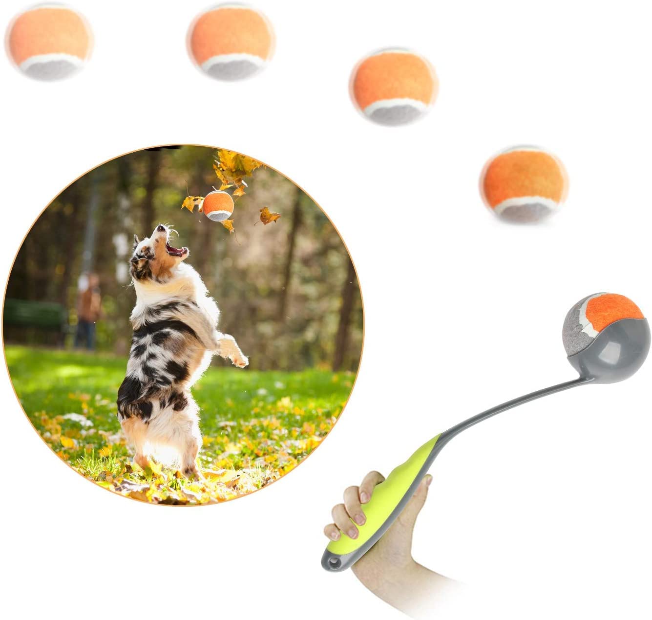 PAWISE dog ball launcher compact design ready for portable park play
