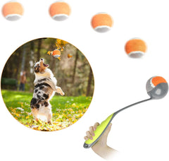 PAWISE dog ball launcher compact design ready for portable park play