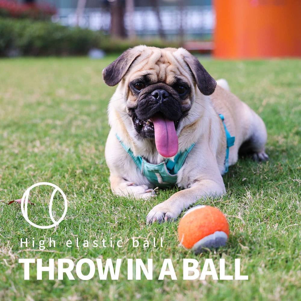 PAWISE hands-free pickup feature reduces slobber and mess during fetch