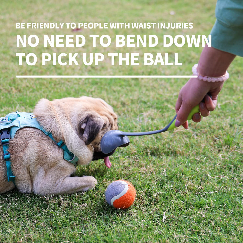PAWISE dog ball launcher for indoor play and space-saving fetch