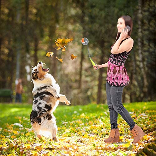 PAWISE dog ball launcher used during outdoor fetch in park or yard
