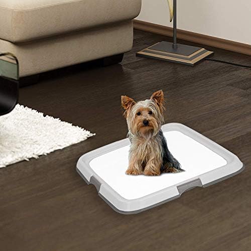 PAWISE indoor-potty tray captures mess and reduces cleanup time.