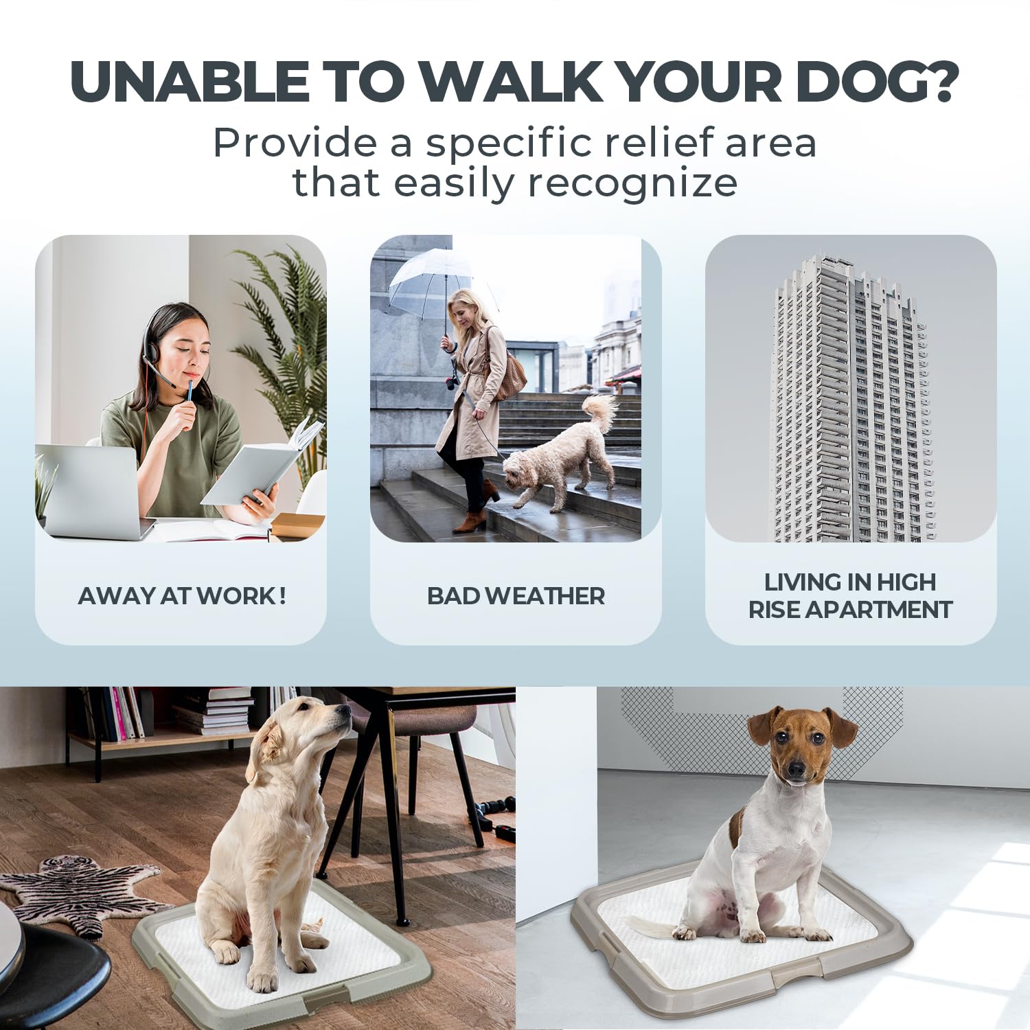 PAWISE pee pad holder tray pad-secured design prevents shifting and chewing.