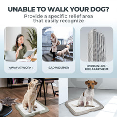 PAWISE pee pad holder tray pad-secured design prevents shifting and chewing.
