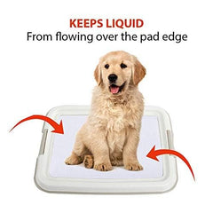 PAWISE tray senior-friendly for easy, reliable use.