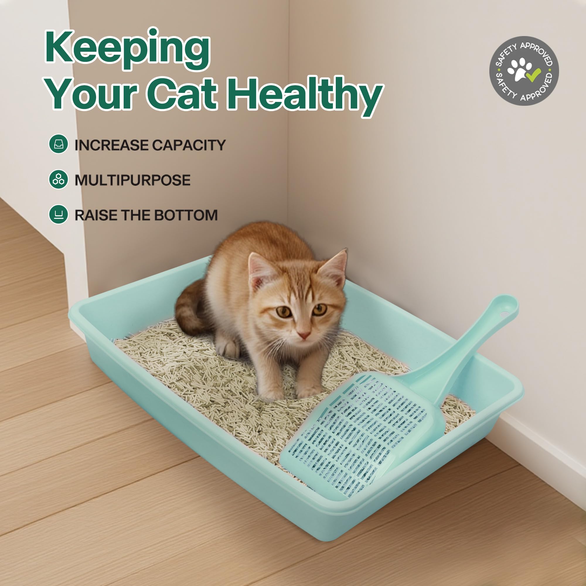 PAWISE dual-compartment bowls keep meals and water neatly organized for kittens.