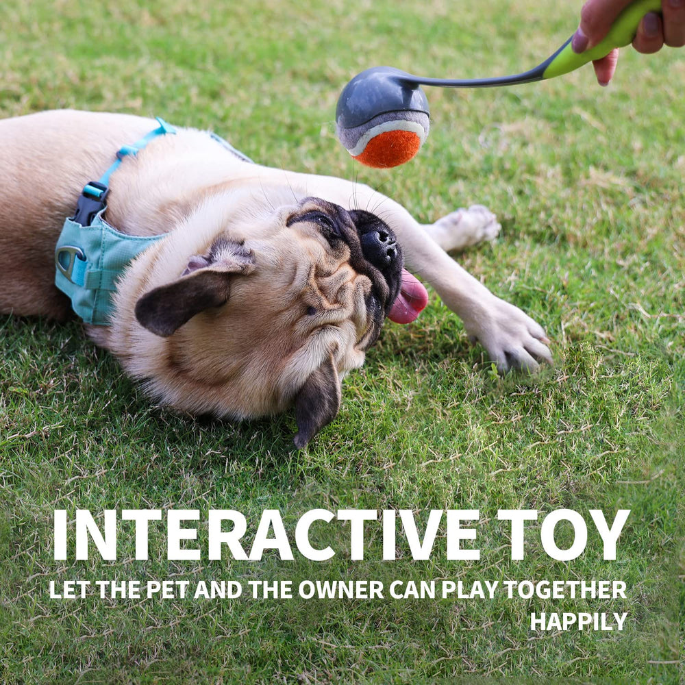 PAWISE durable plastic construction withstands eager pets and playtime