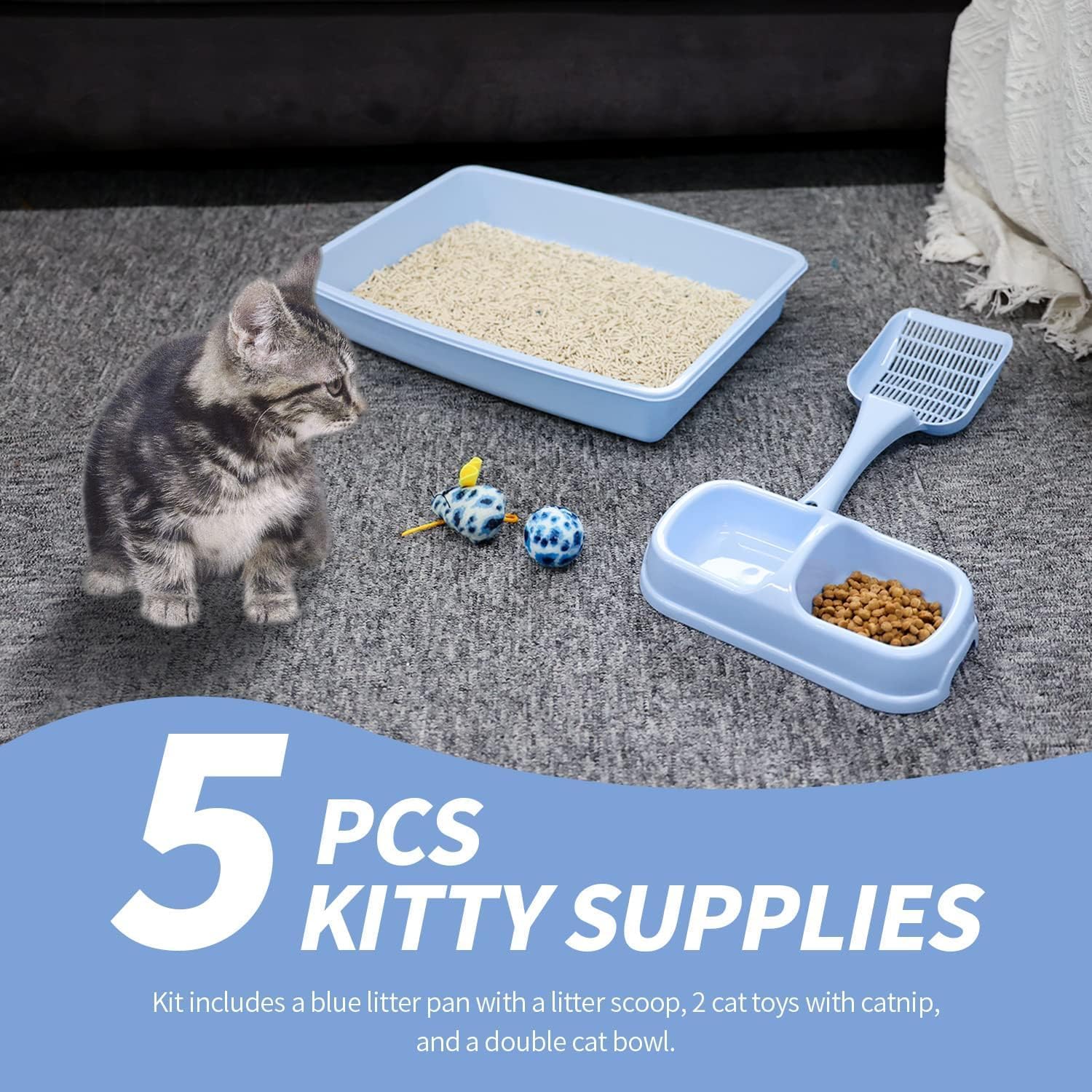 PAWISE low-entry litter box eases tiny paws into litter training.