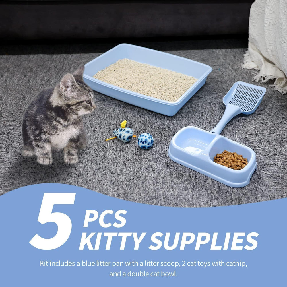 PAWISE low-entry litter box eases tiny paws into litter training.