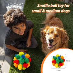 PAWISE Snuffle Ball dog-enrichment play scene highlights mental stimulation