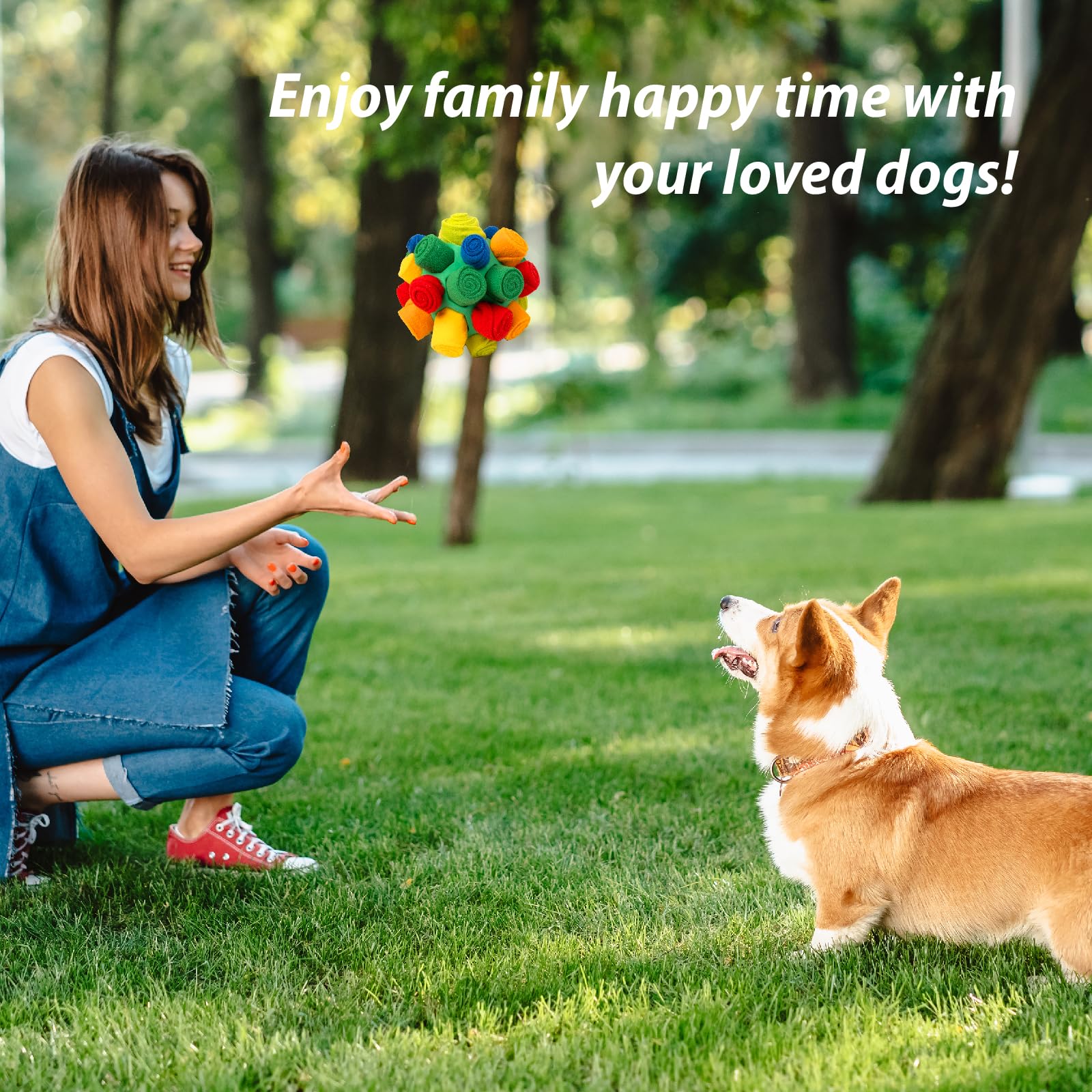 PAWISE Snuffle Ball size-small puppy fit and training use