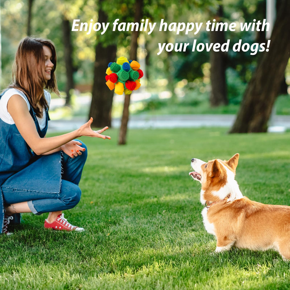 PAWISE Snuffle Ball size-small puppy fit and training use