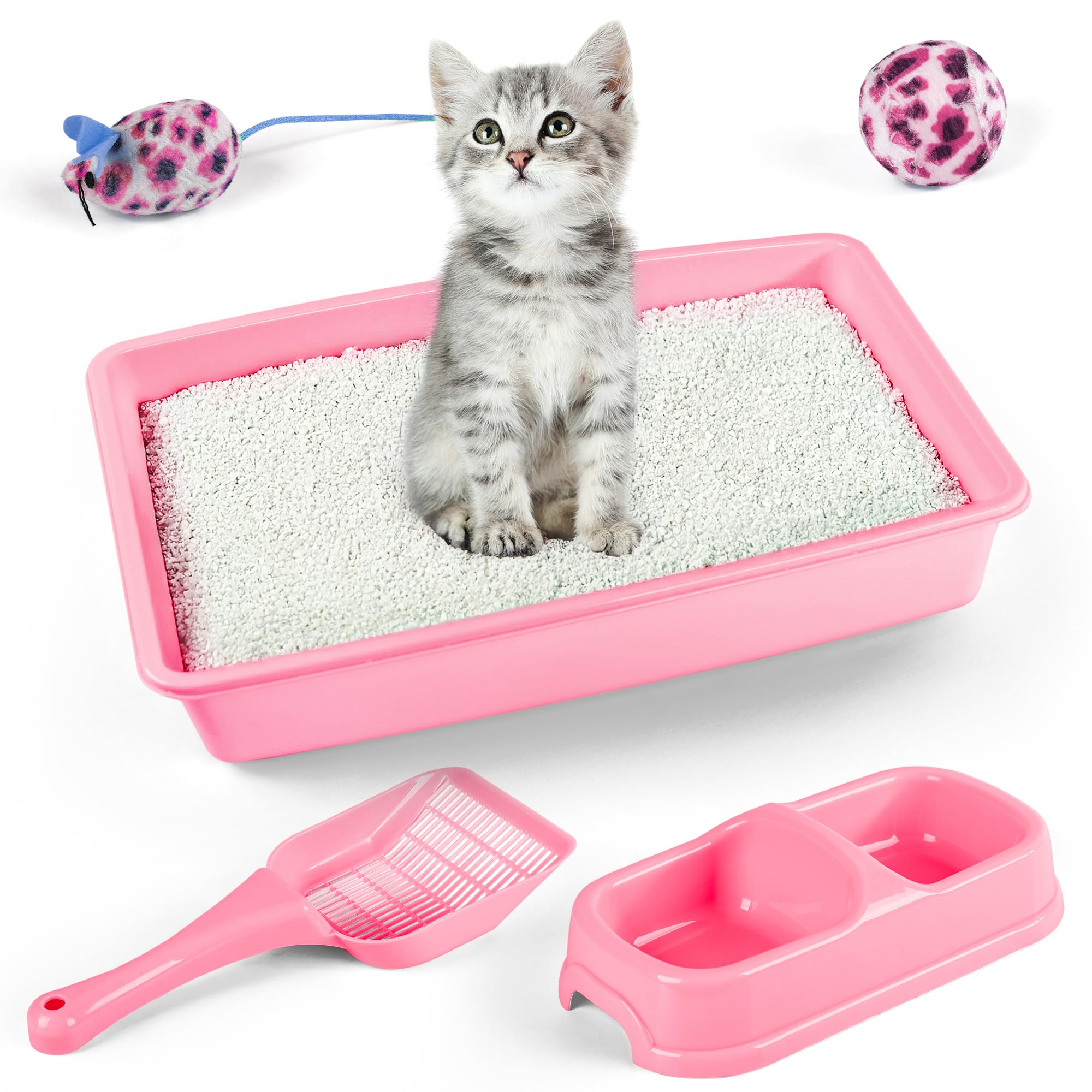 PAWISE travel-friendly kit designed for on-the-go kitten care