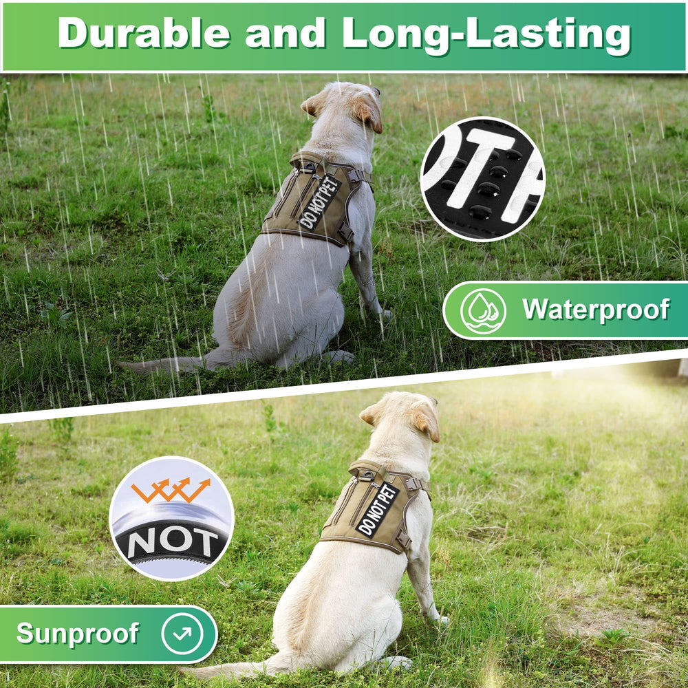 PawistaPal easy attach remove hook-and-loop image emphasizing quick patch changes.