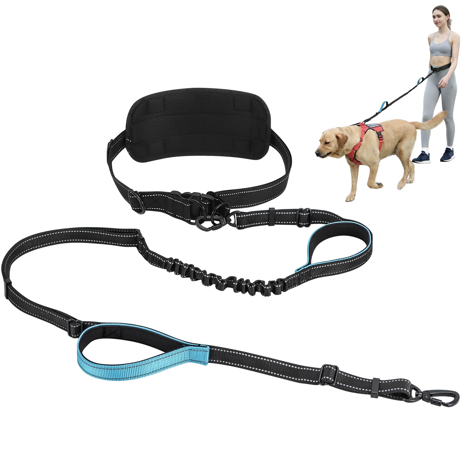 PawistaPal hands-free leash waistband on dog delivers secure, comfortable walks.