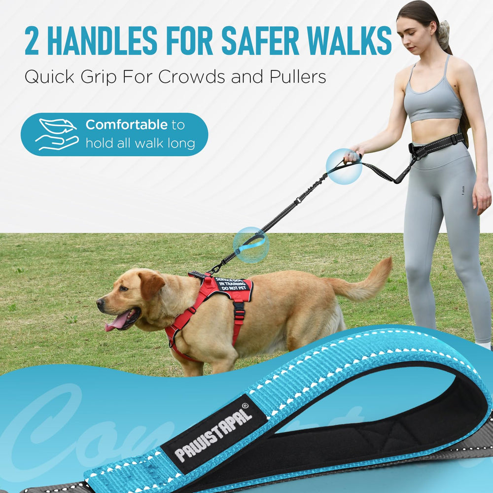 PawistaPal metal safety buckle keeps leash securely fastened in crowded areas.