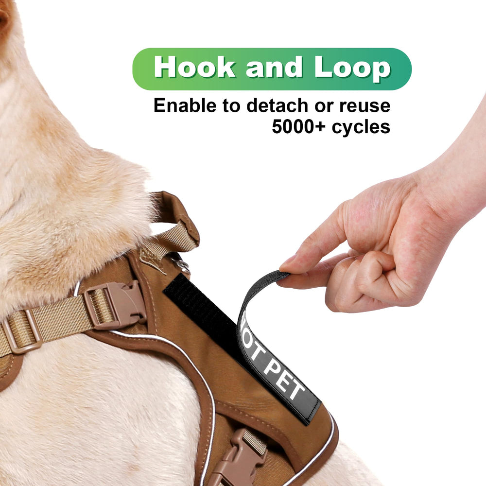 PawistaPal large white-on-black lettering patch on harness improves visibility for passersby.