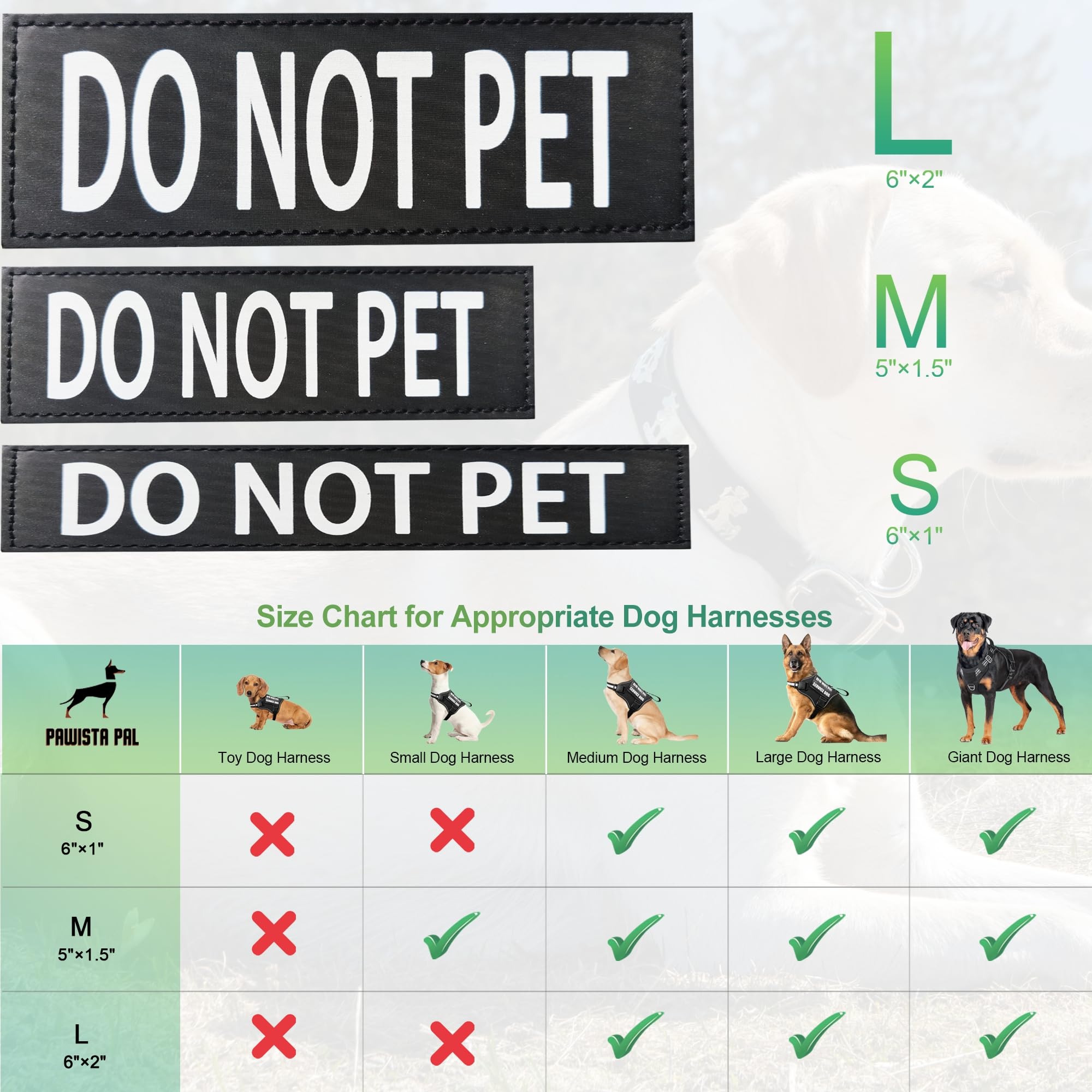 PawistaPal removable patches on harness demonstrate quick on/off convenience for training.