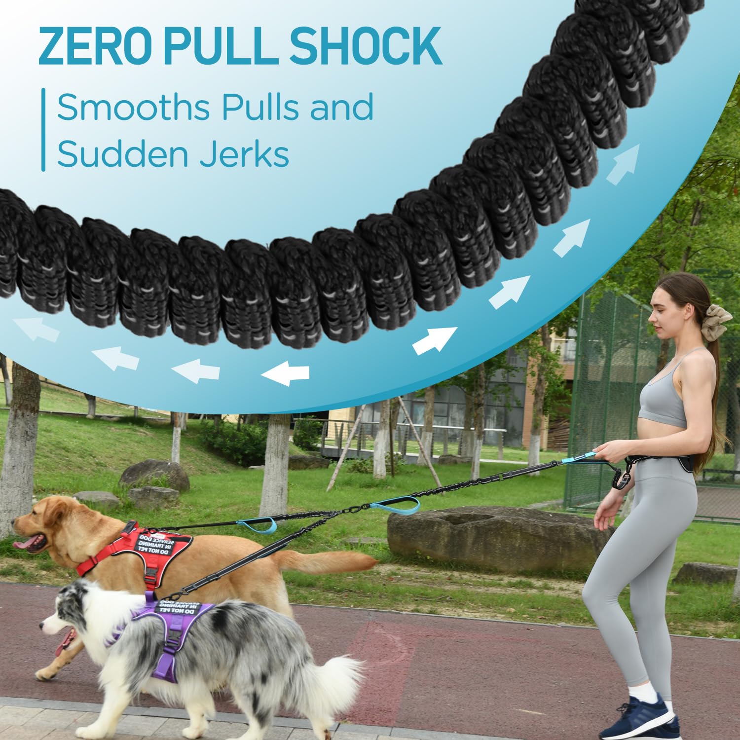 PawistaPal running-dog-with-leash demonstrates freedom and safety during park jogs.