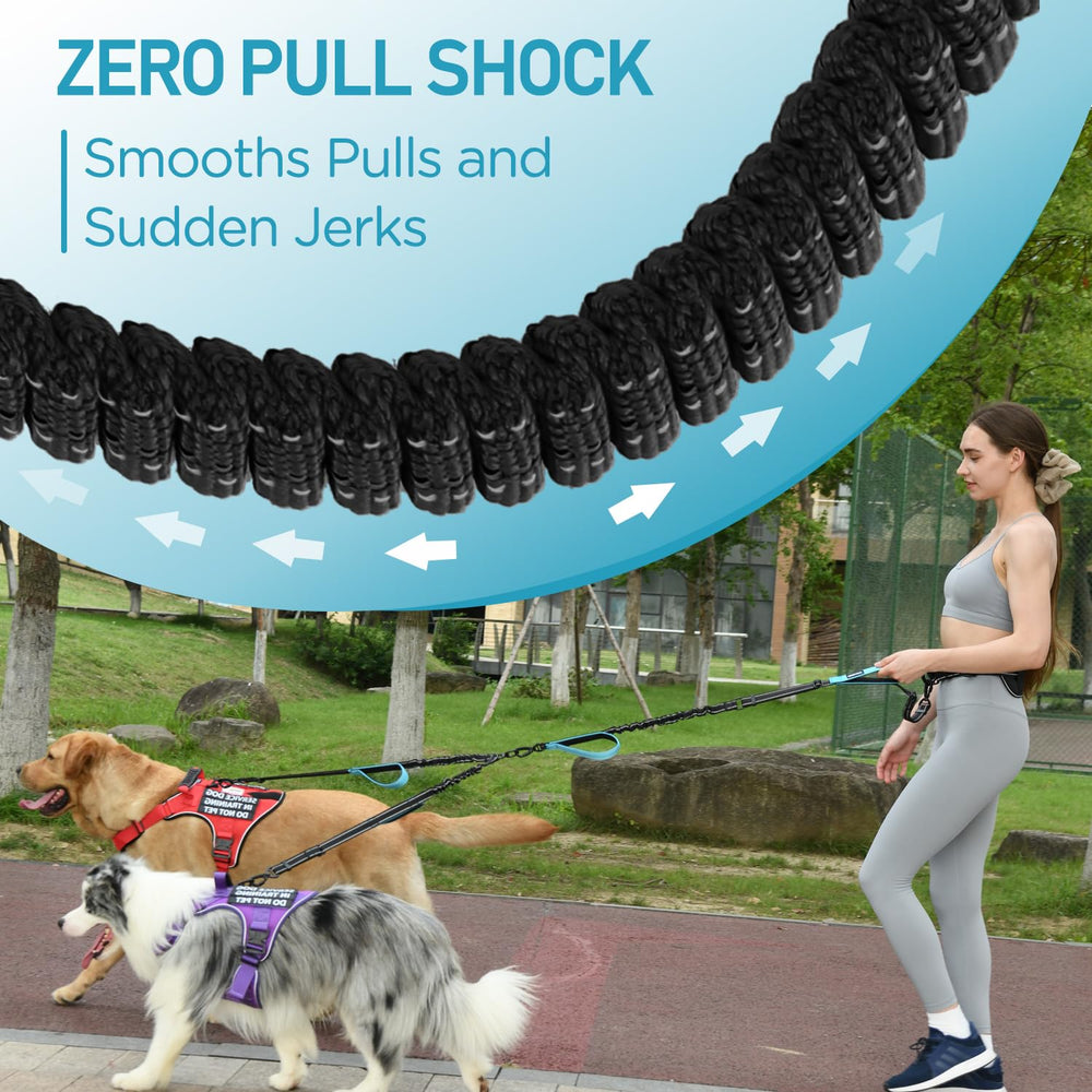 PawistaPal running-dog-with-leash demonstrates freedom and safety during park jogs.
