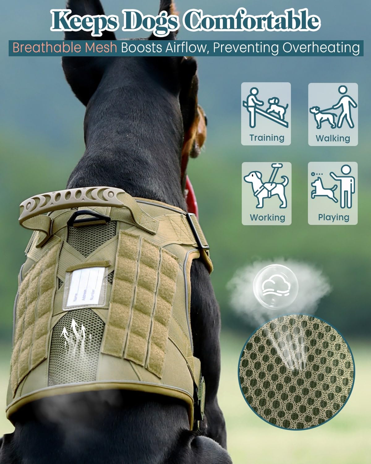 PawistaPal service dog vest adjustment points ensure snug fit for various body sizes