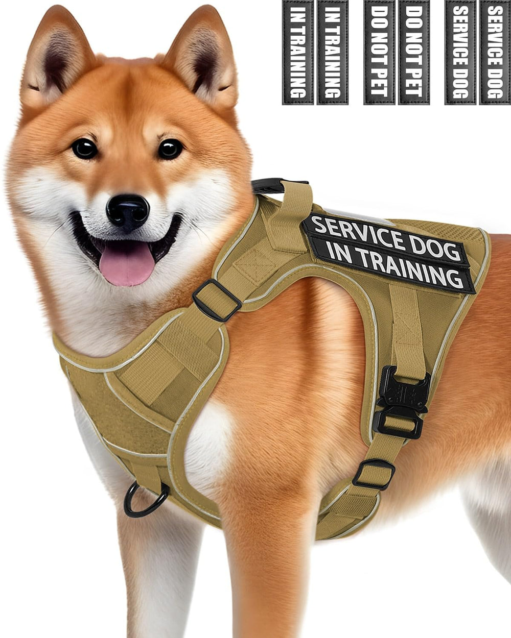 PawistaPal service dog vest front clip for quick control during busy street walks