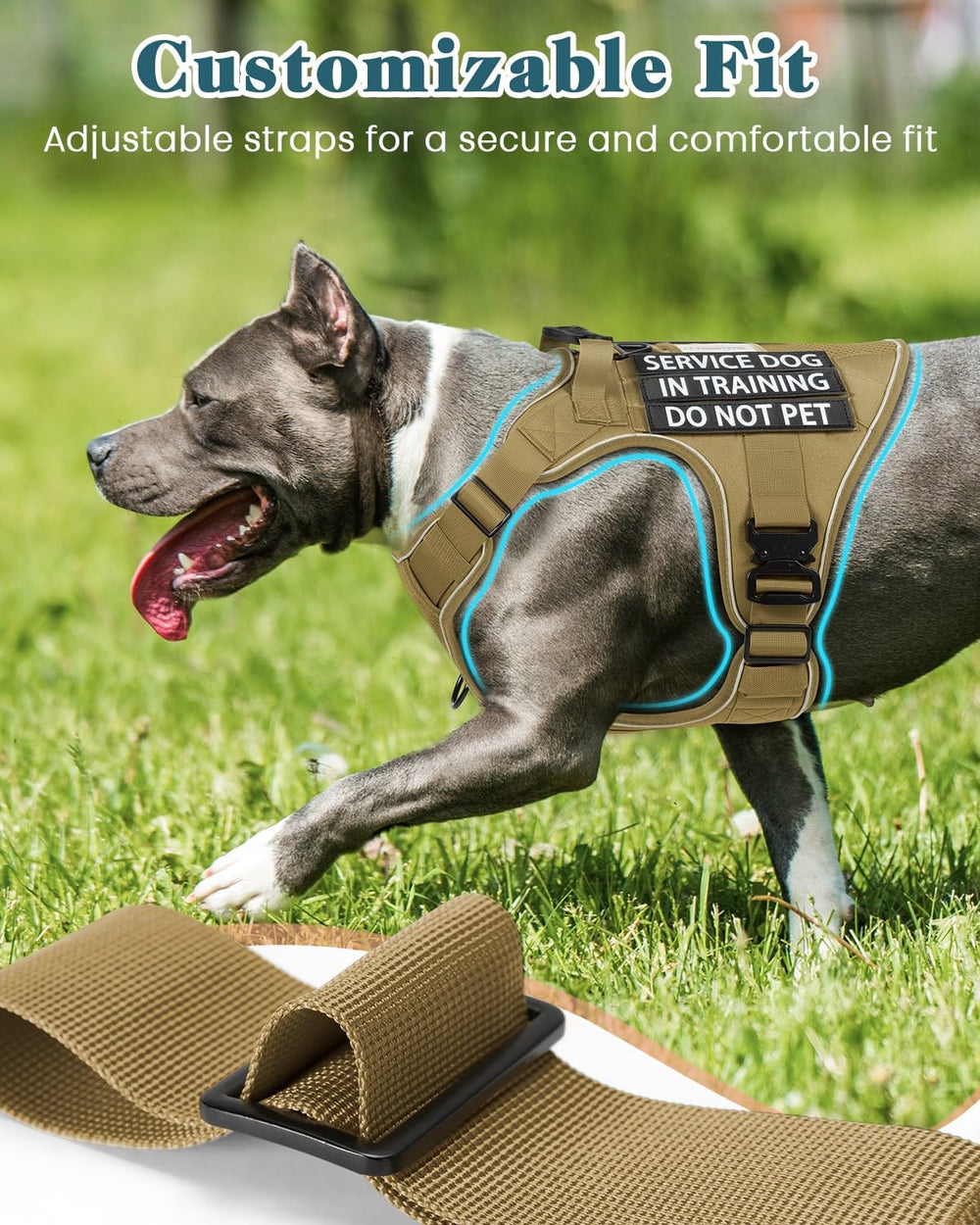PawistaPal vest featuring heavy-duty metal buckles for durable construction.